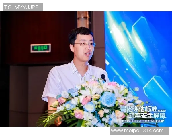 软辅与硬辅的版本选择与博弈策略分析与实战应用探讨