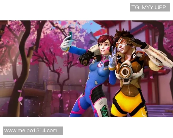 破解双盾阵容的有效战术与策略分析分享